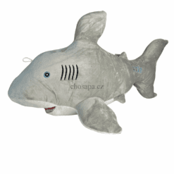 Cá mập dài 65cm
