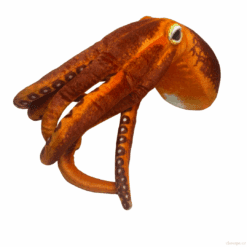 Bạch tuộc dài 50cm