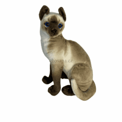 Mèo 40cm lông chuột