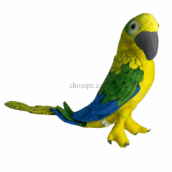 Vẹt bông đuôi dài. Kích thước 40cm